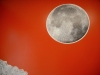 dscn3842