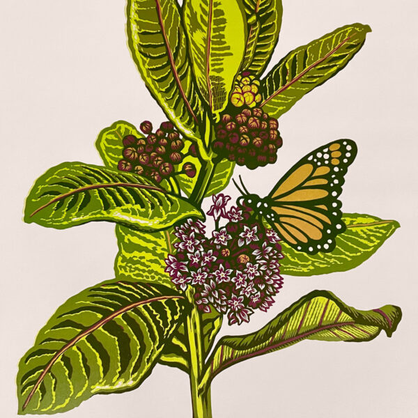 Mazorra_Martin_Milkweed_300dpi_2021