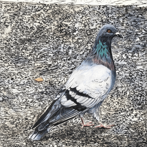 Screenshot 2025-11-28 at 4.32.52?PM