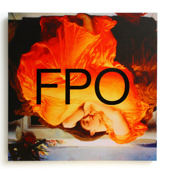 belonax_fpo-001-mainSML